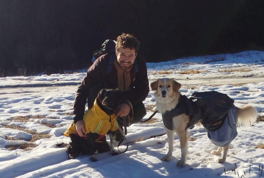 Capire il cane educatore cinofilo