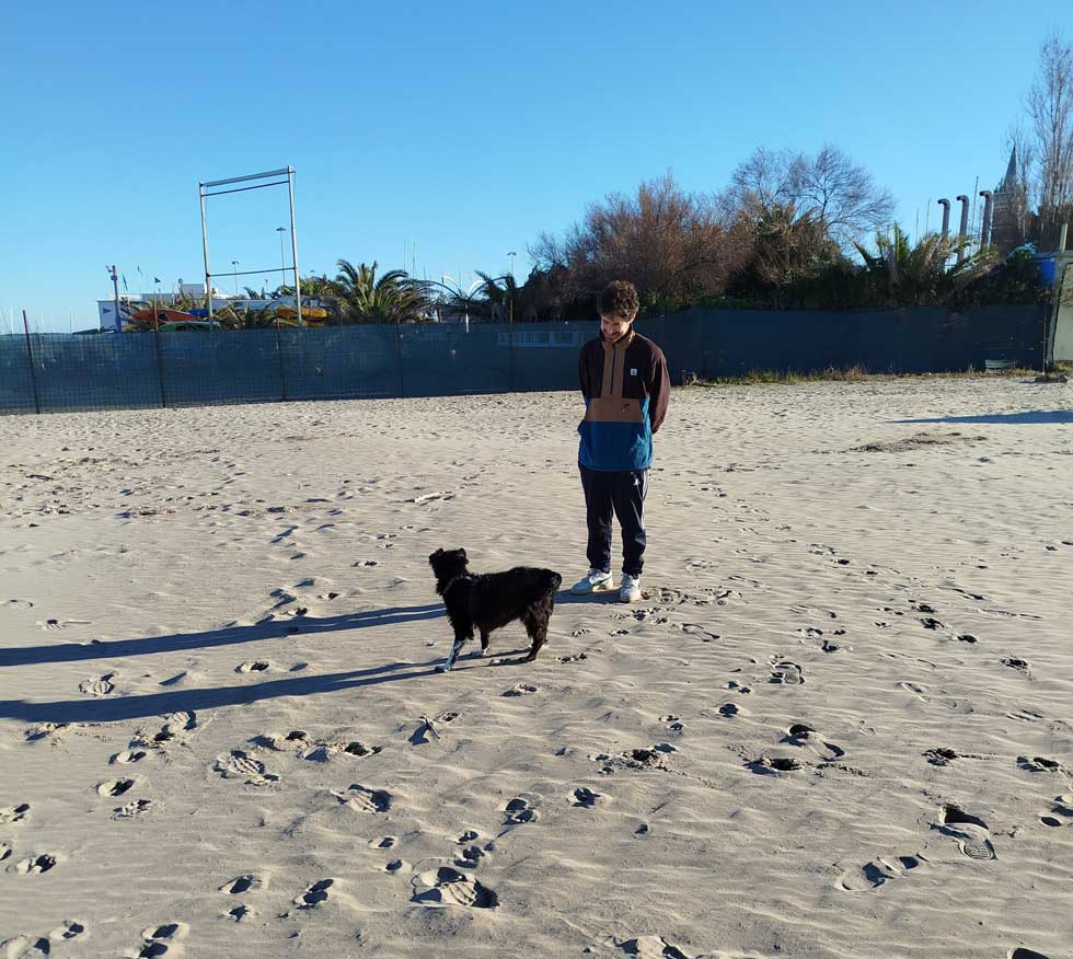 Il metodo educatore cinofilo etologico in pratica in foto