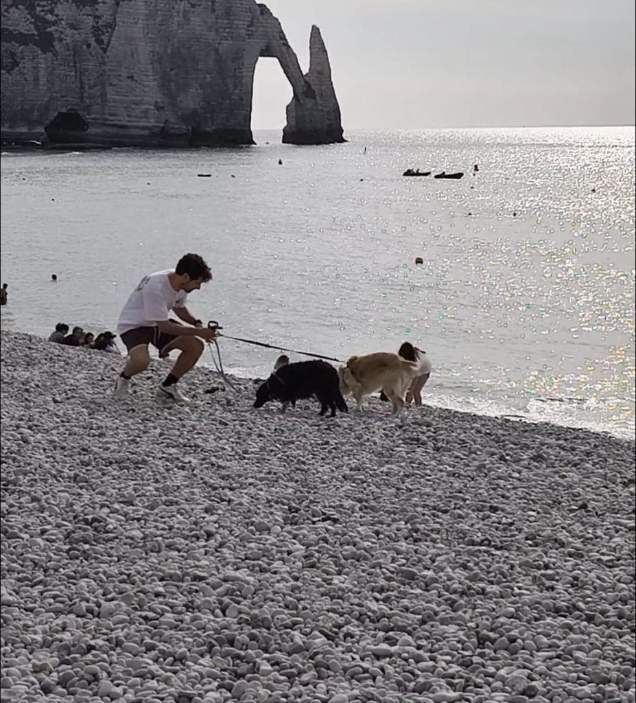 Conduzione al guinzaglio